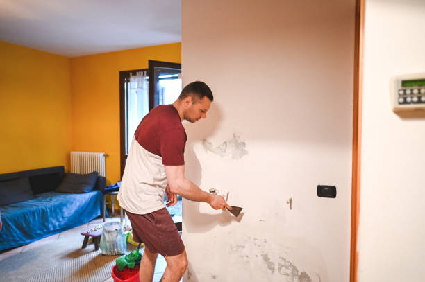 Best Emergency Mold Removal  in Sharon, PA
