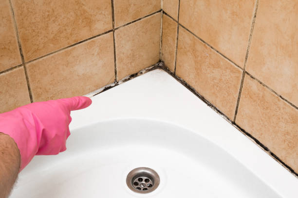 Best Crawl Space Mold Removal  in Sharon, PA